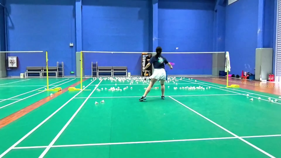 米特罗维奇 米特罗维奇