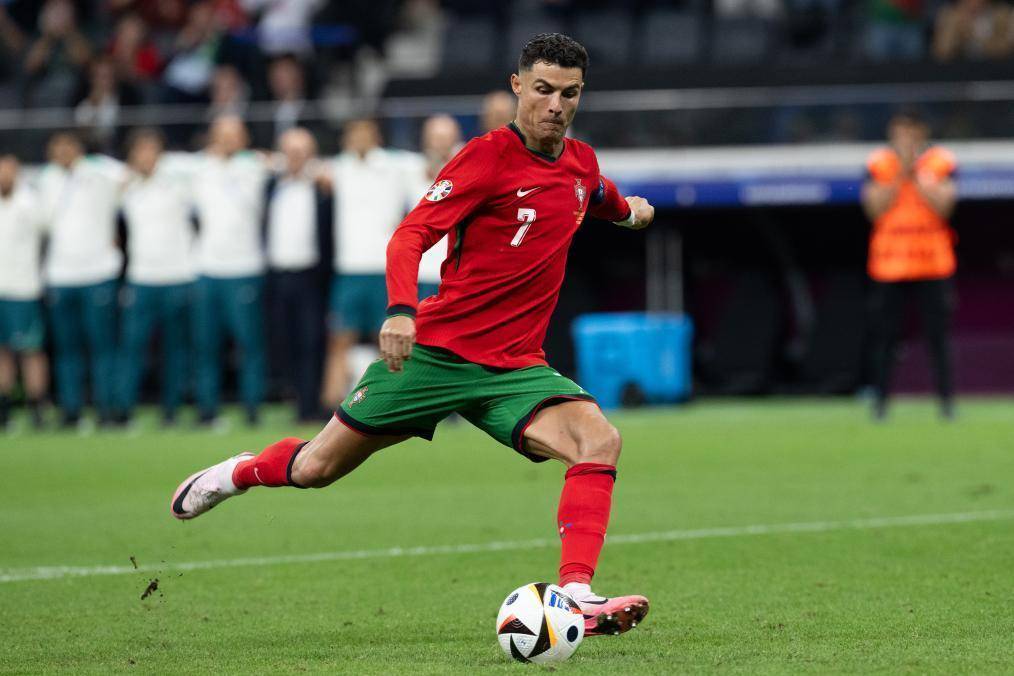 全面展示 全面展示