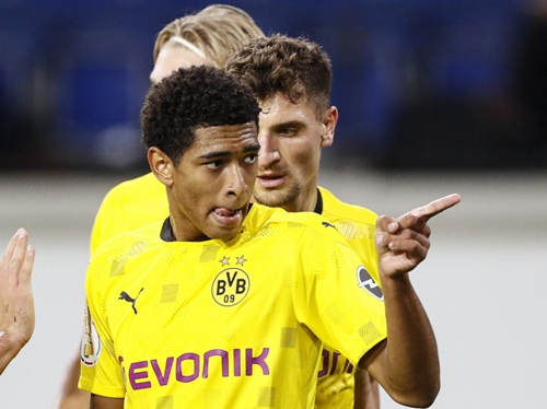 带来了新的 带来了新的