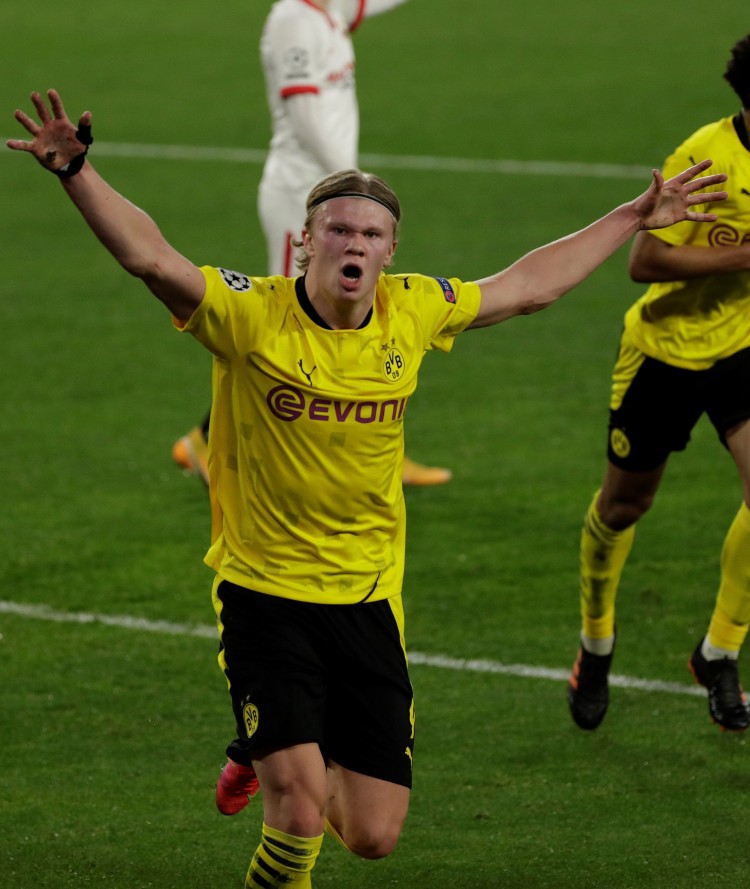 引入城市系 引入城市系